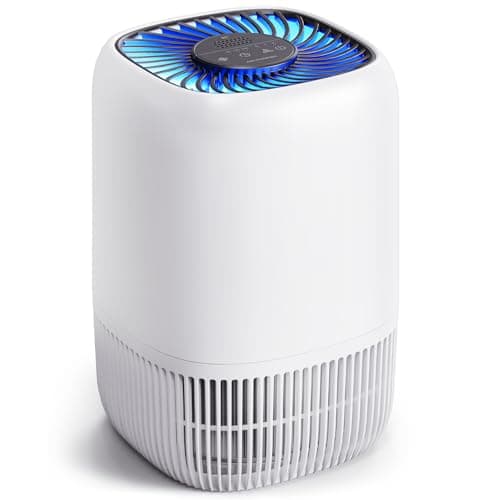 5 Best Desktop Air Purifiers in 2026