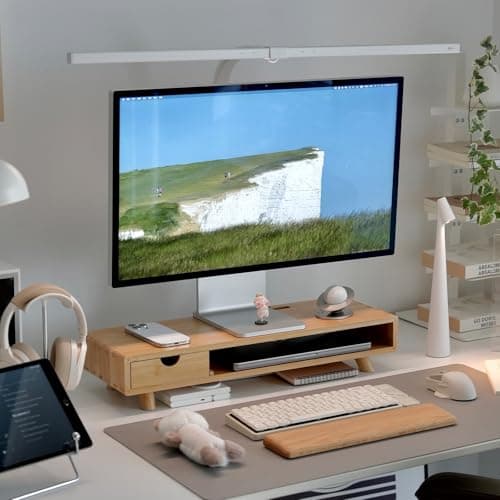 5 Best Bamboo Monitor Shelves in 2026